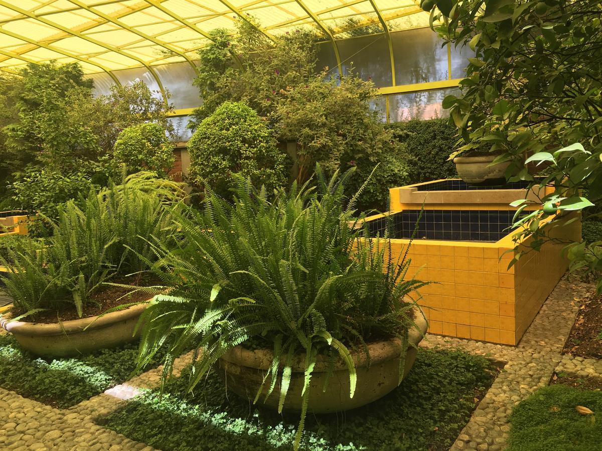 Hotel Oliver Inn Toluca Buitenkant foto